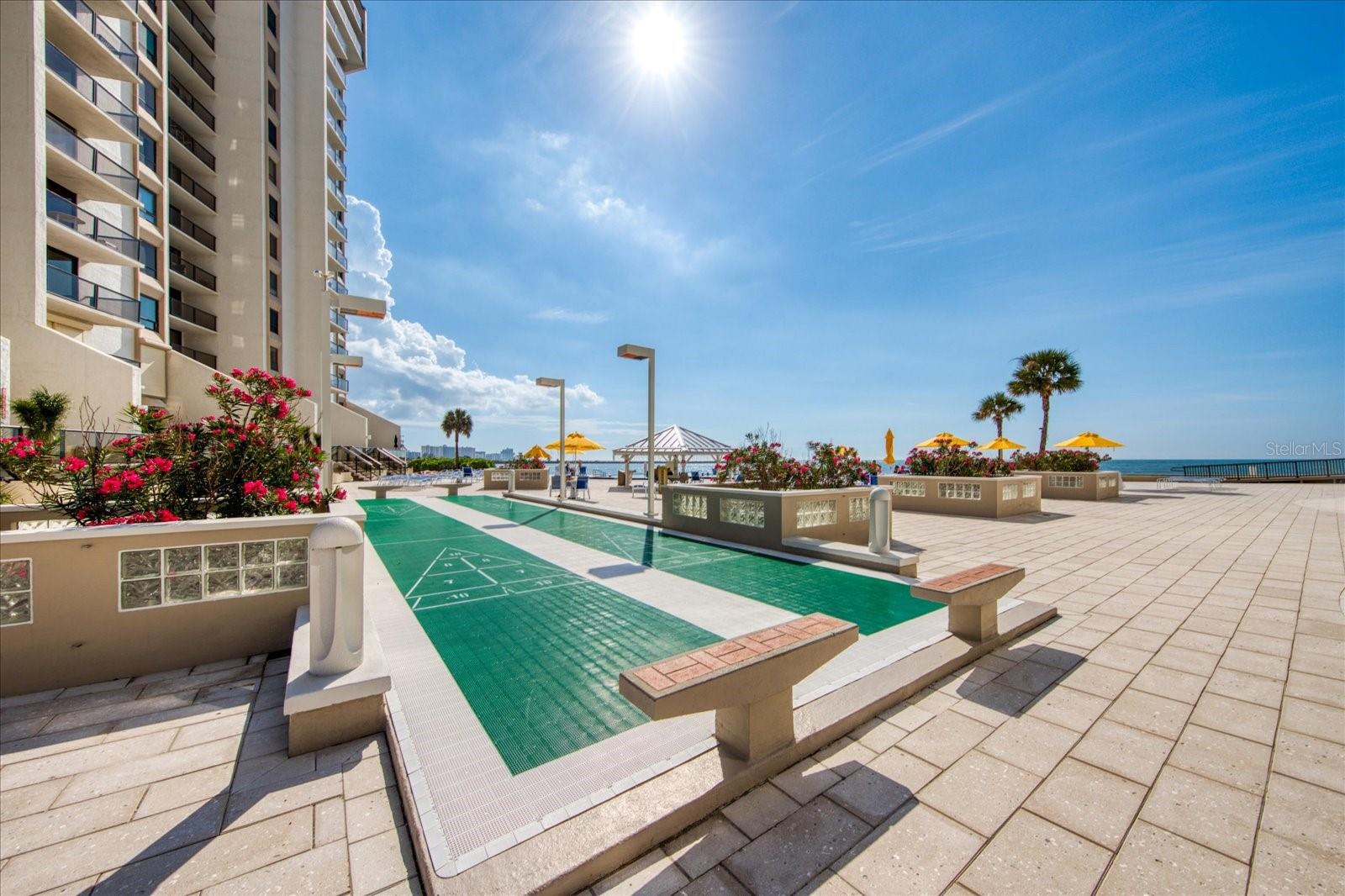 440 GULFVIEW BLVD S #207 — photo 43