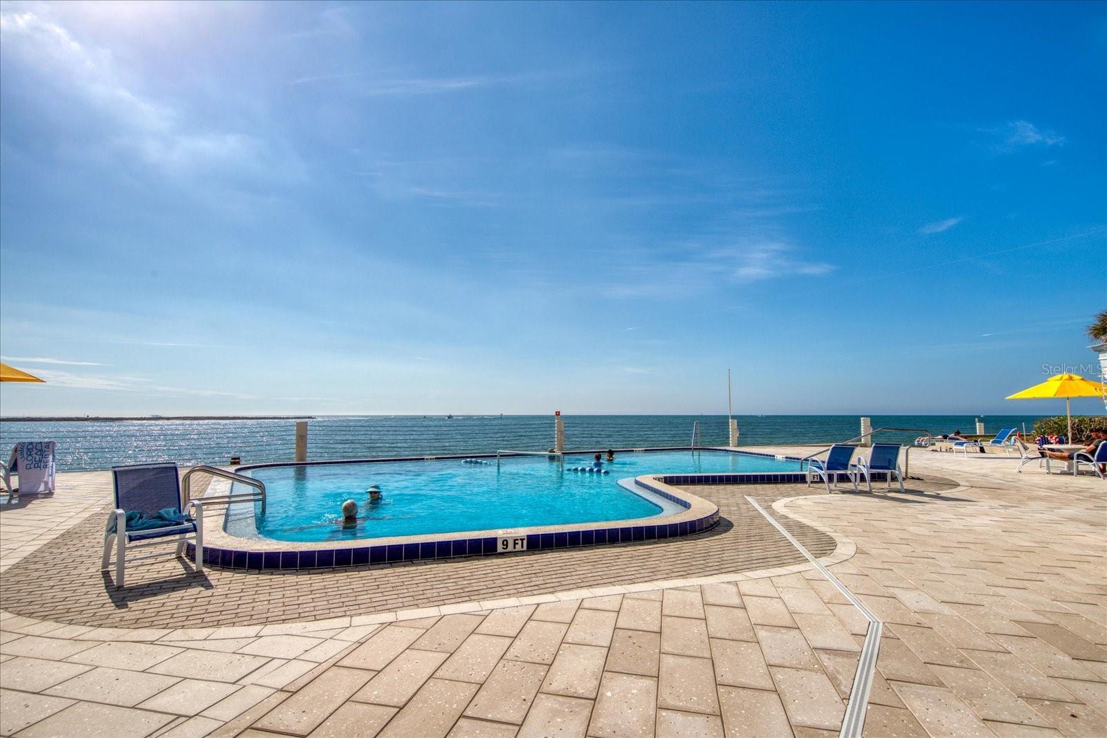 440 GULFVIEW BLVD S #207 — photo 44