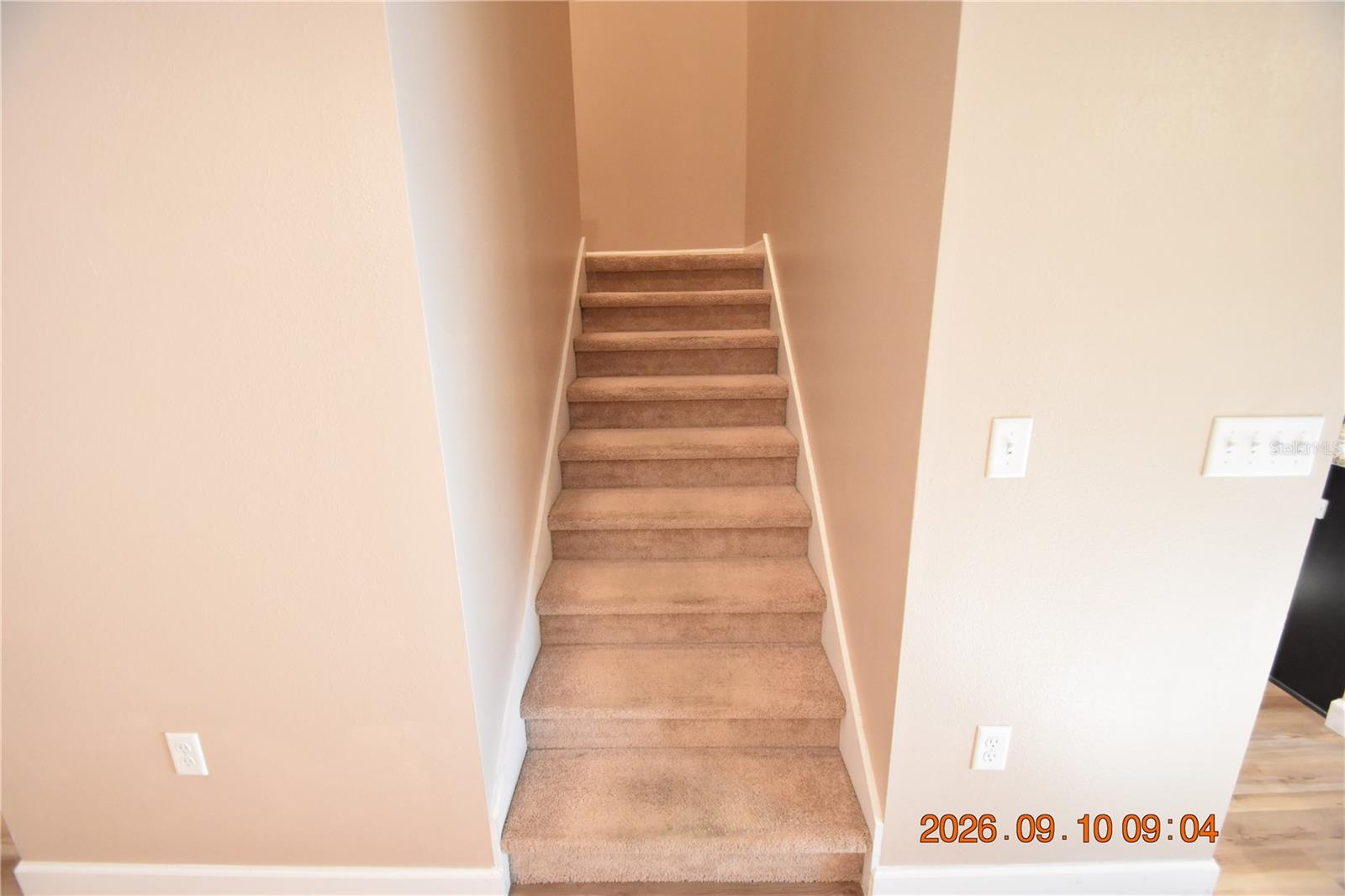 13217 CANOPY CREEK DR — photo 34