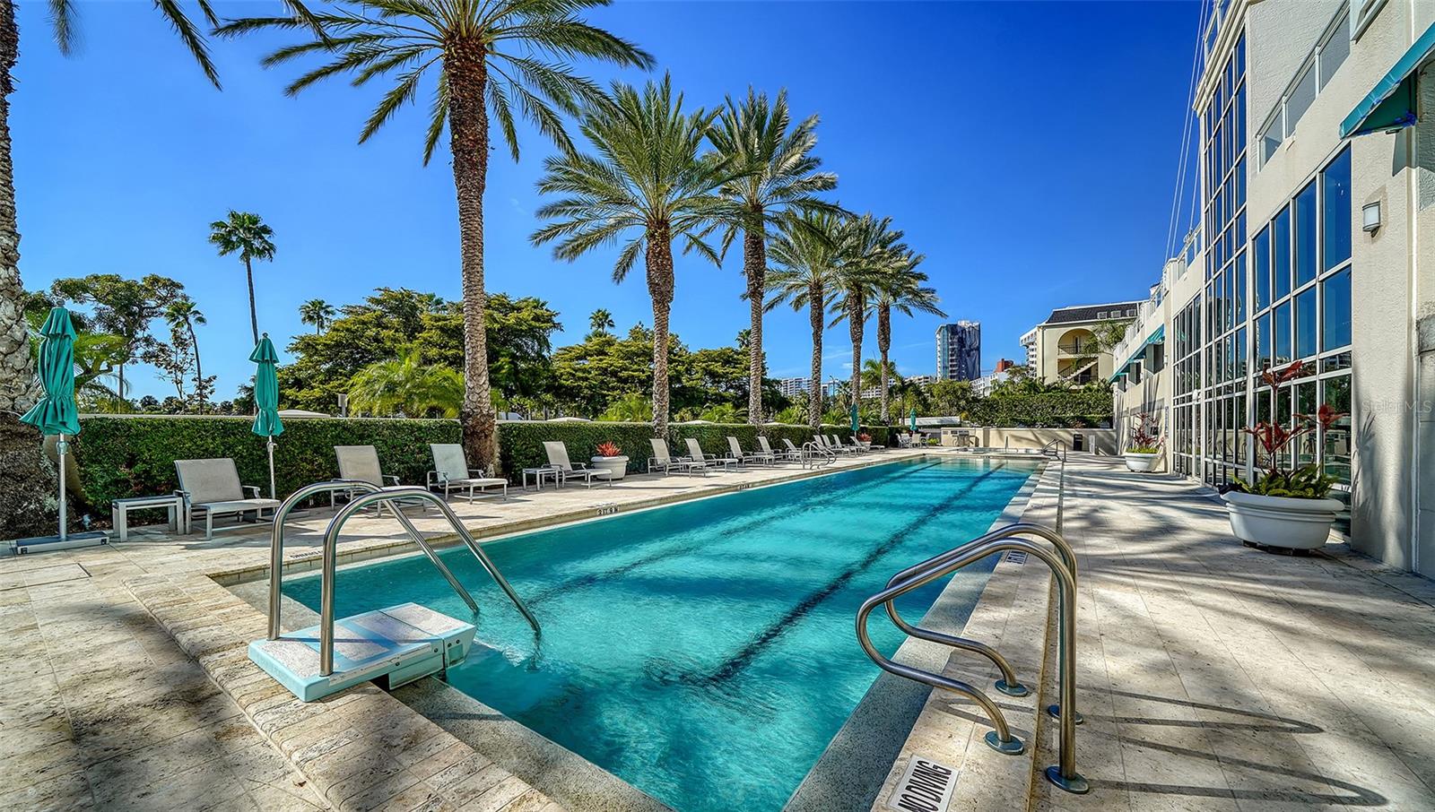 340 S PALM AVE #101 — photo 39