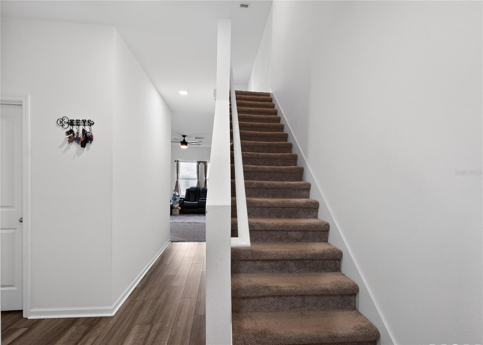35568 SHADE FERN LN — photo 12