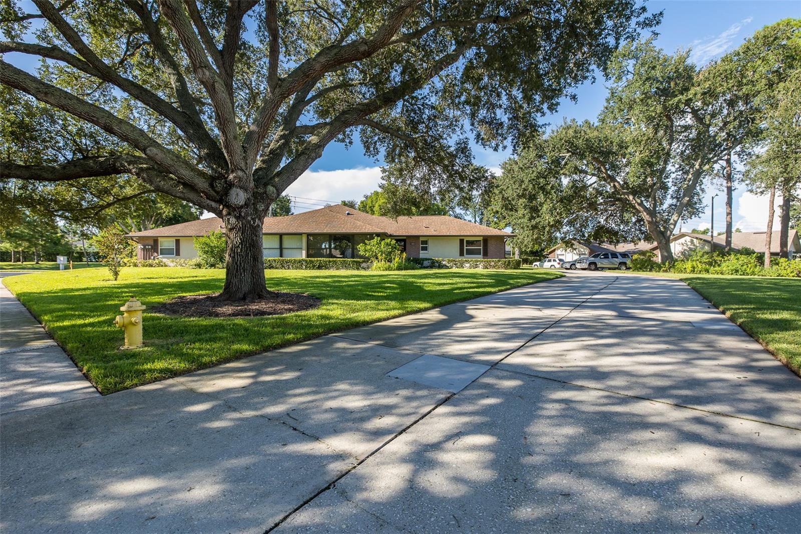 1428 SUMMER ISLE CT — photo 38