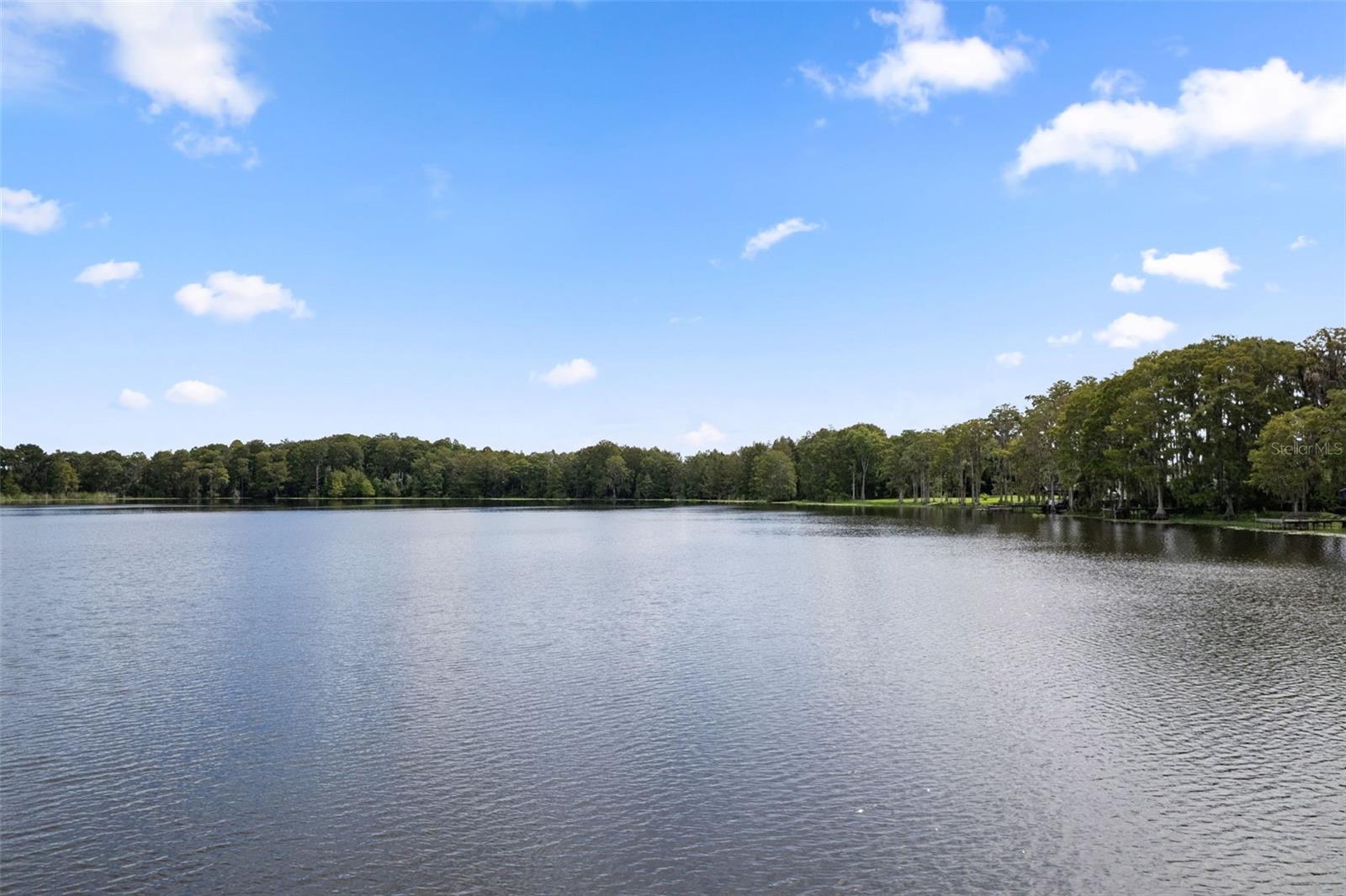 10818 LAND O LAKES BLVD — photo 31