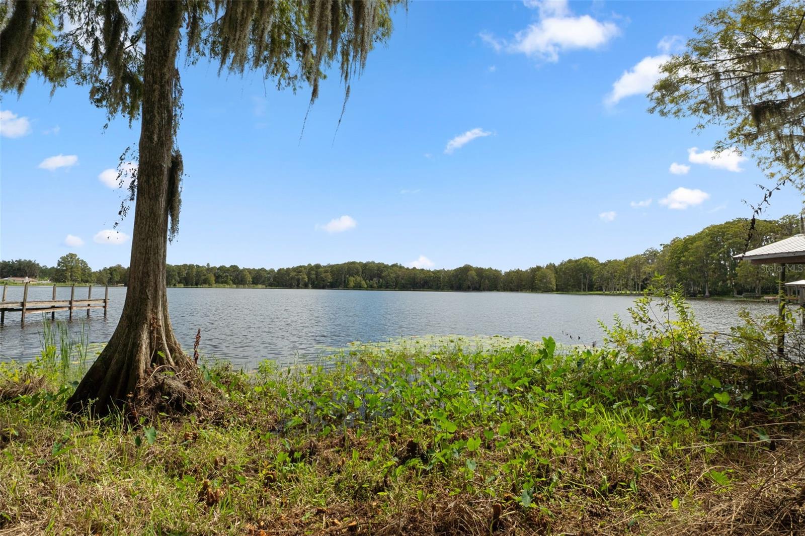 10818 LAND O LAKES BLVD — photo 29