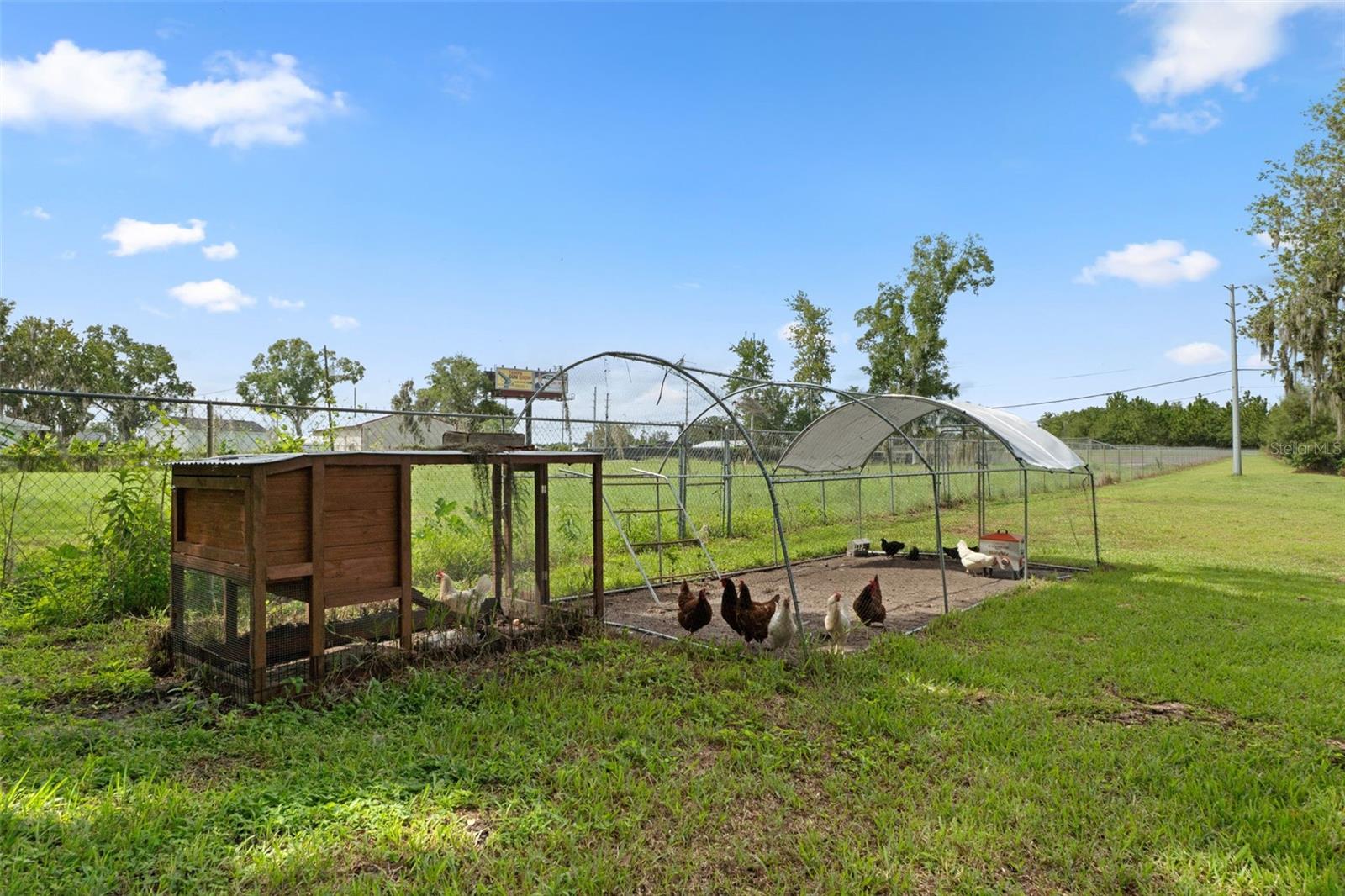 10818 LAND O LAKES BLVD — photo 27