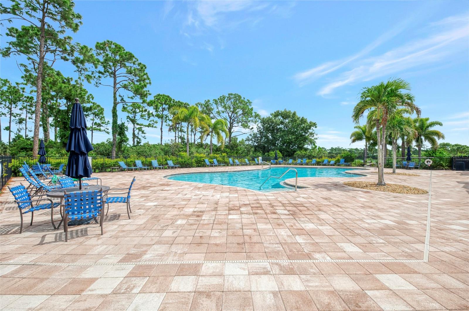 11662 PARROTFISH ST — photo 68