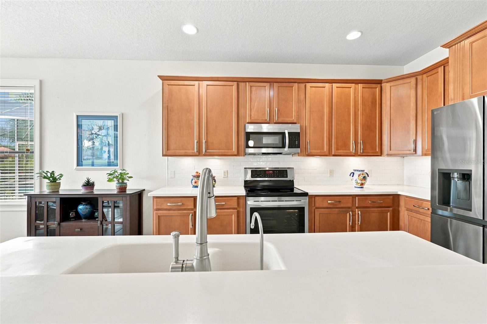 216 SILVER FALLS DR — photo 12