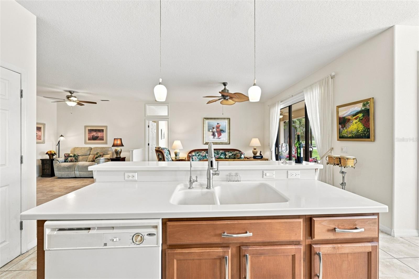 216 SILVER FALLS DR — photo 15