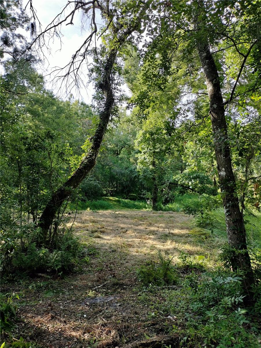 35949 BOZEMAN RD — photo 97