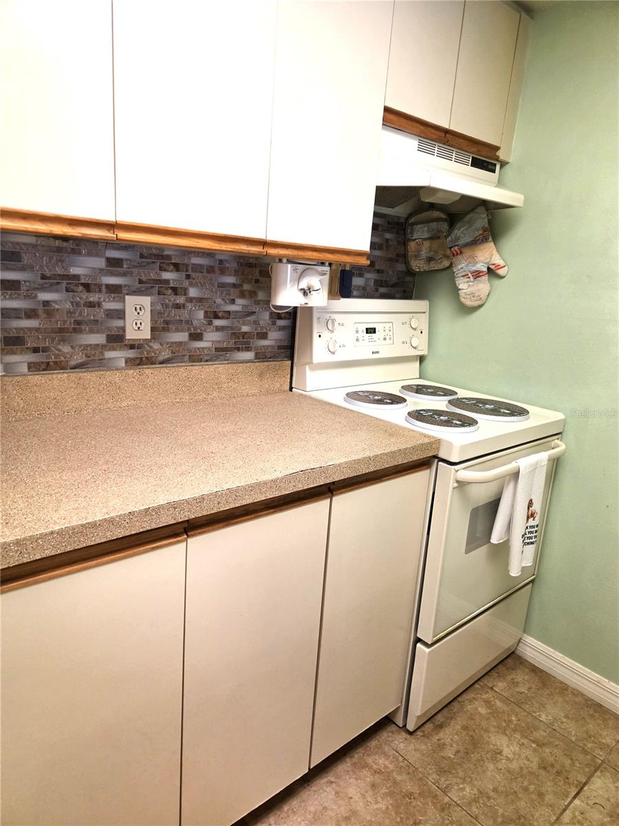 503 ALBEE FARM RD #B15 — photo 14