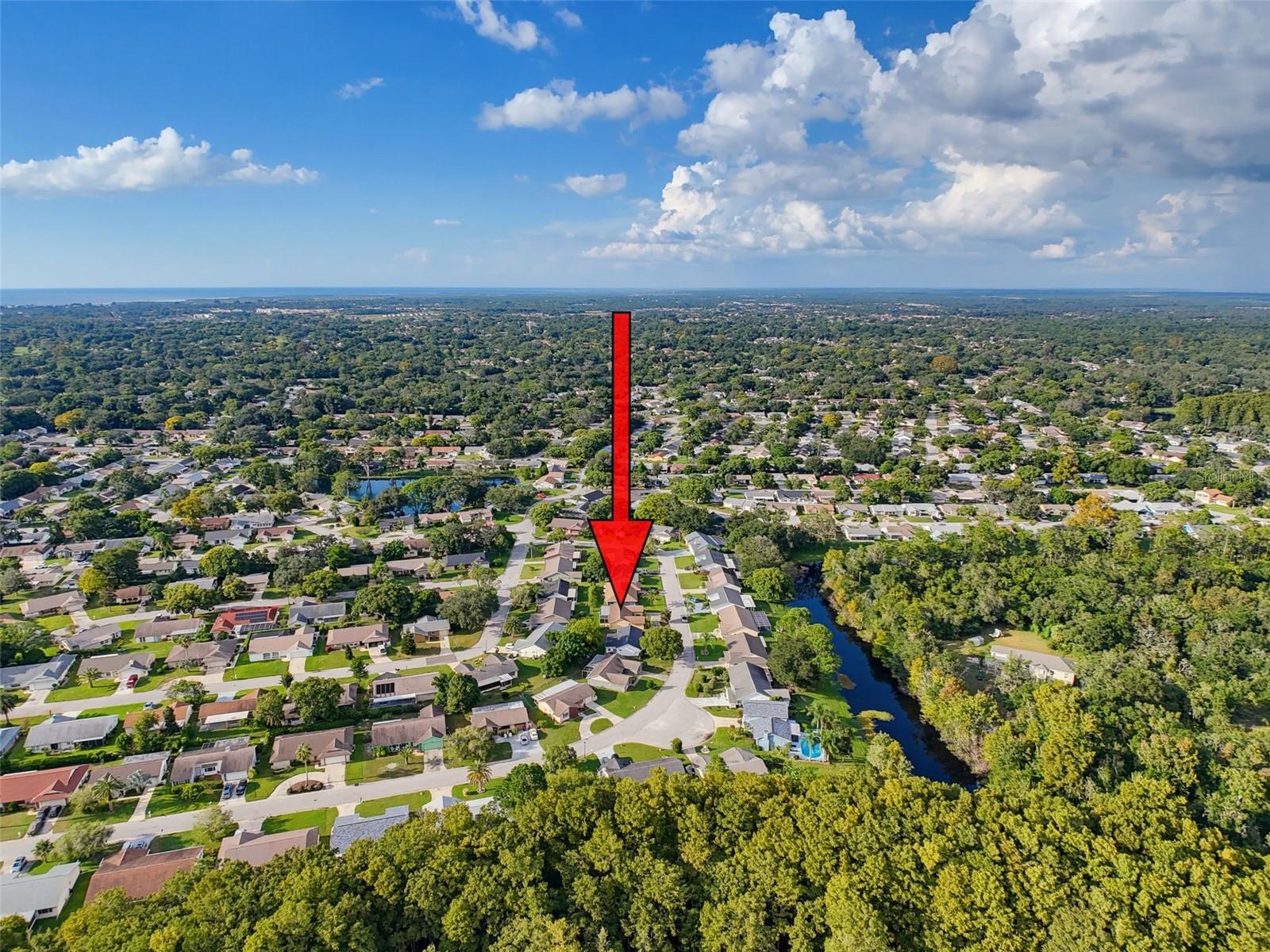 12205 SILK OAK LN — photo 51