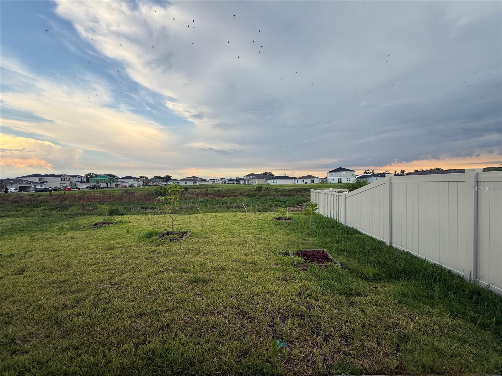 10322 STAR FLOWER LN — photo 15