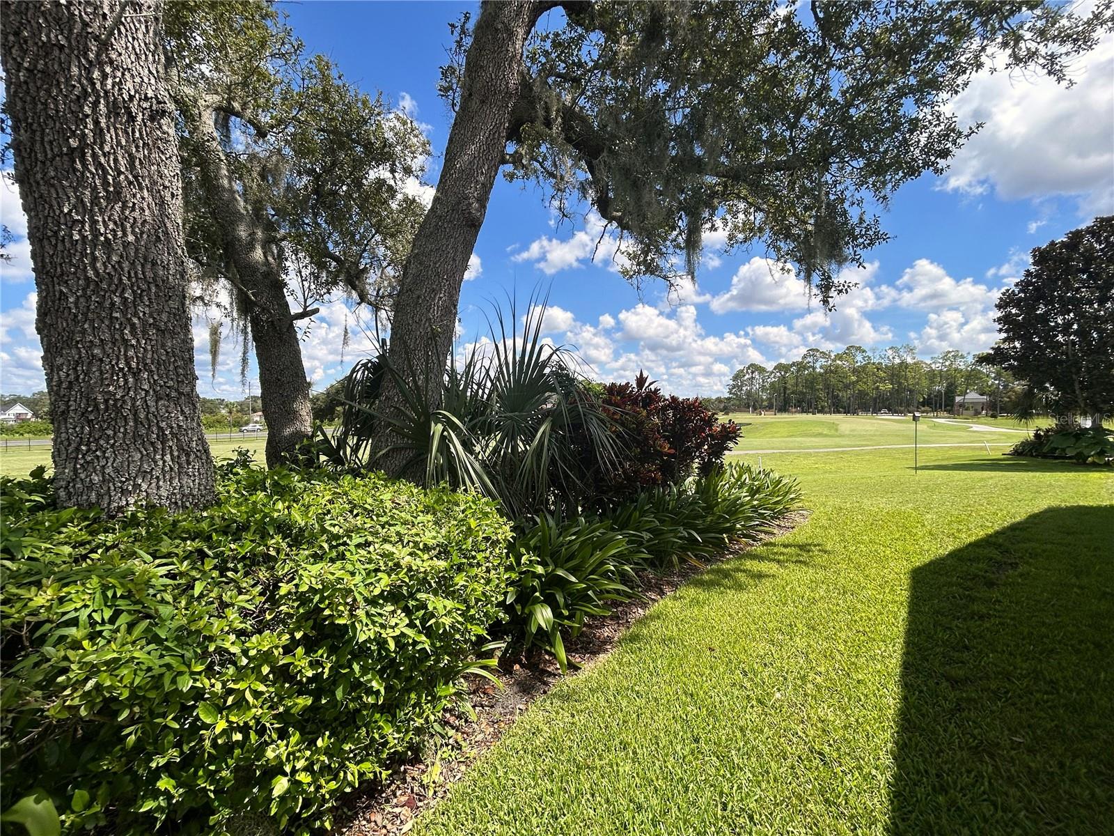 11239 SUN TREE RD — photo 30