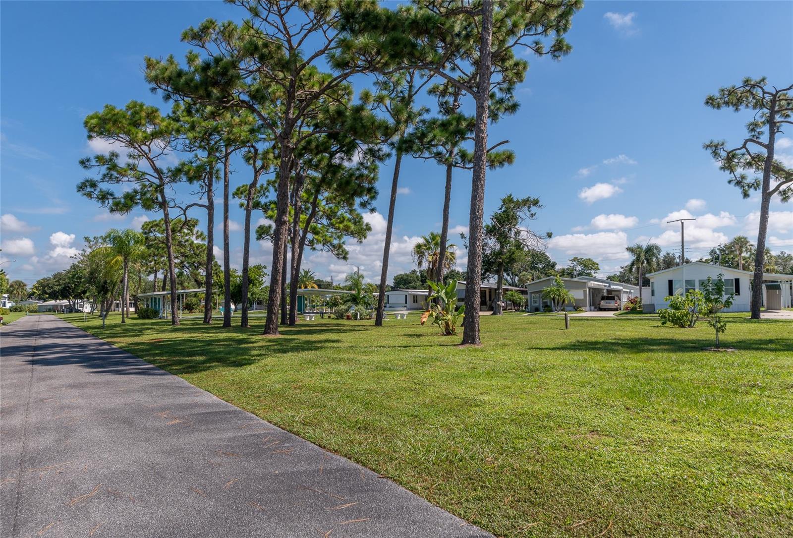 216 OUTER DR E — photo 39