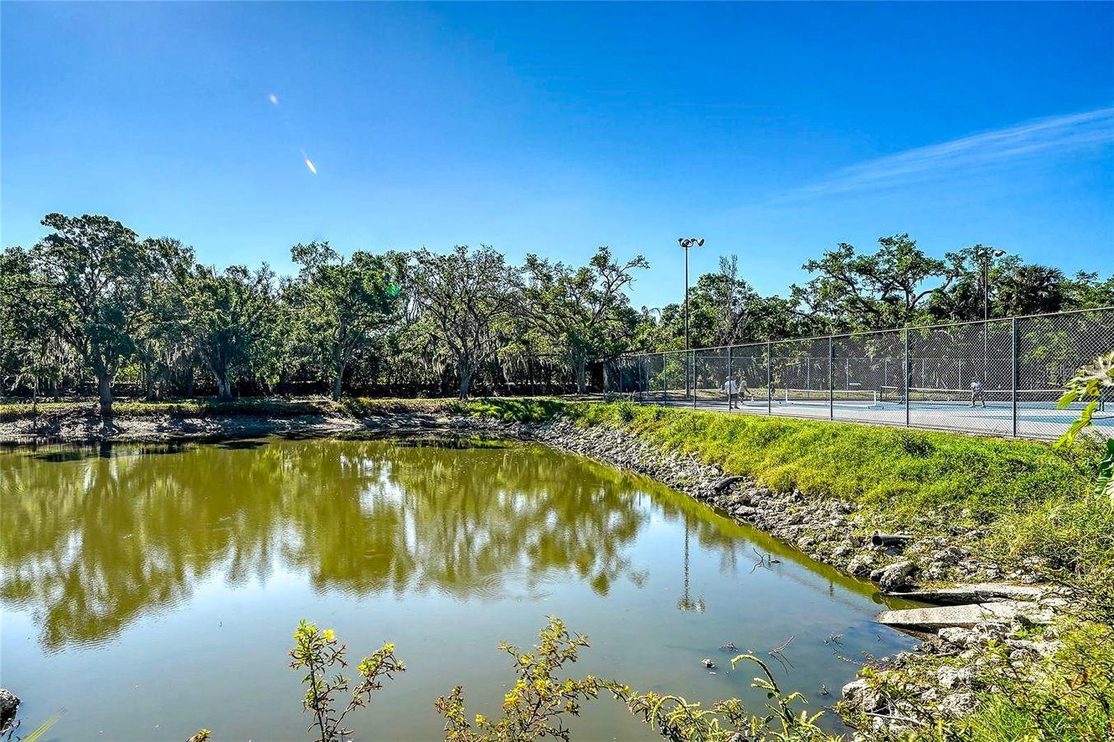 2475 WOOD OAK DR — photo 47