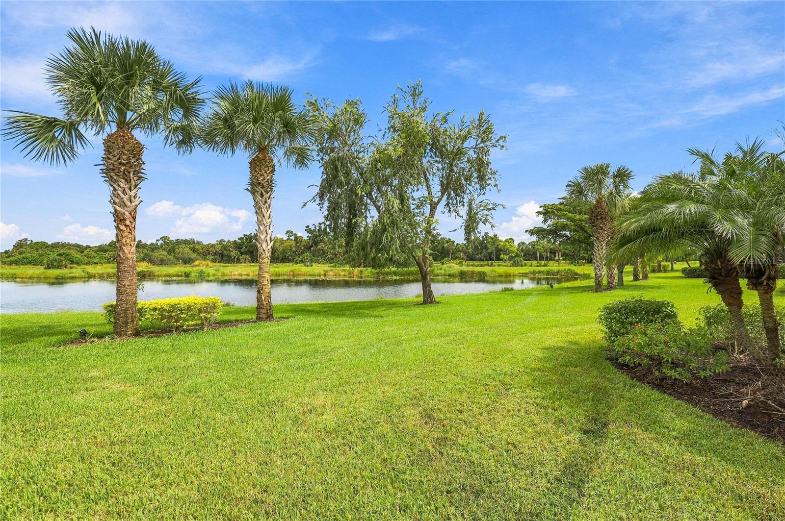 11170 SANDHILL PRESERVE DR — photo 4