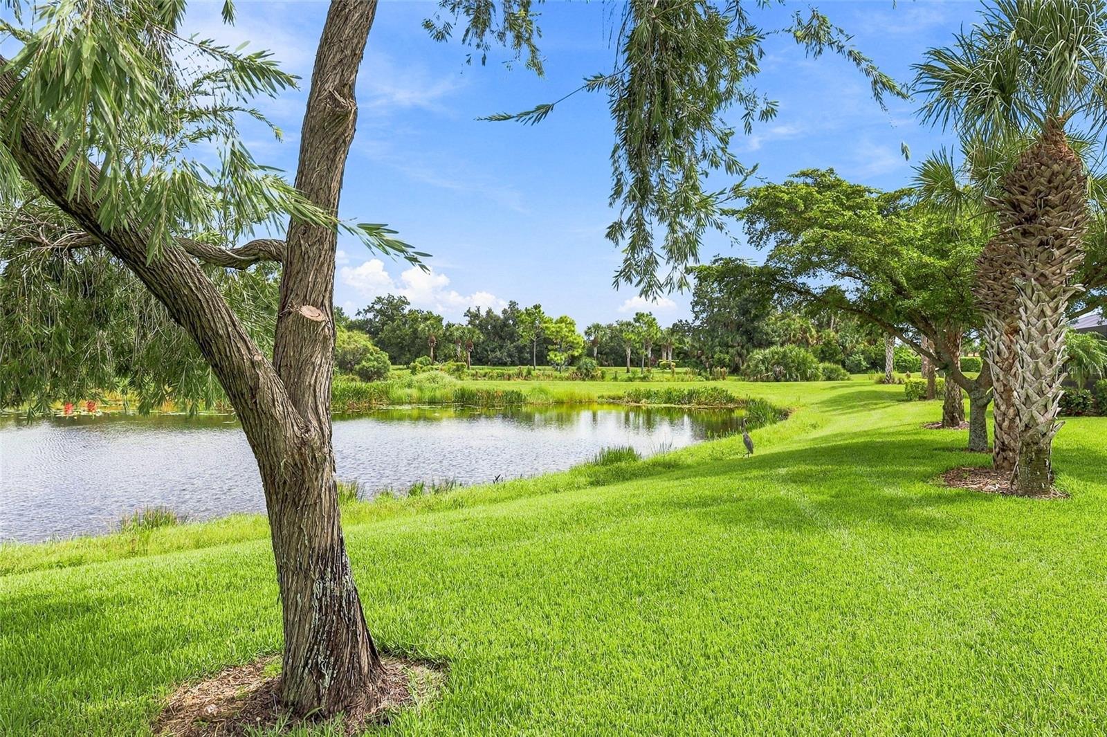 11170 SANDHILL PRESERVE DR — photo 31