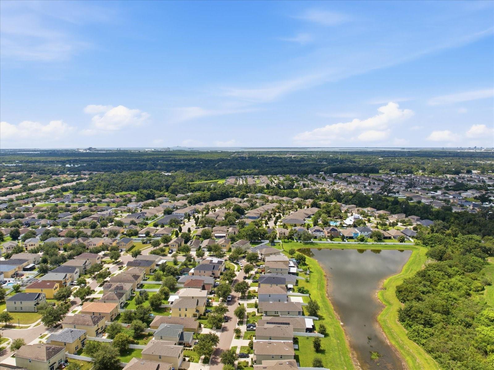 10519 WHISPERING HAMMOCK DR — photo 47