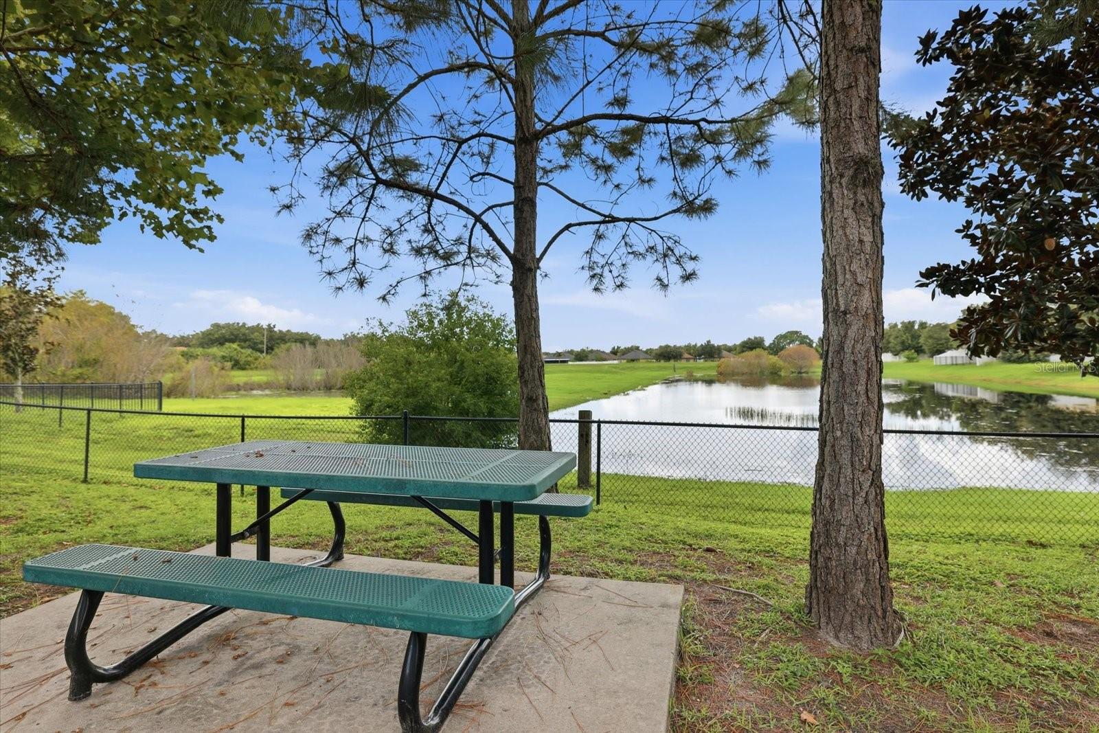 10519 WHISPERING HAMMOCK DR — photo 45