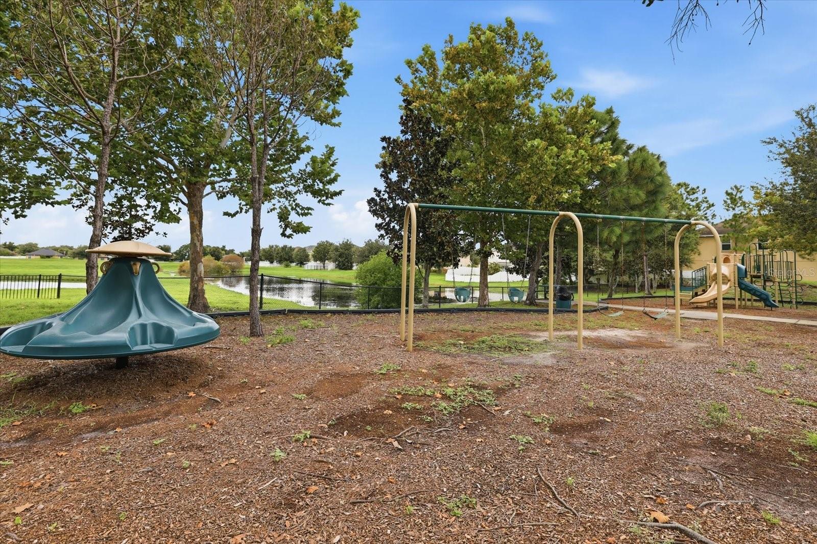 10519 WHISPERING HAMMOCK DR — photo 43