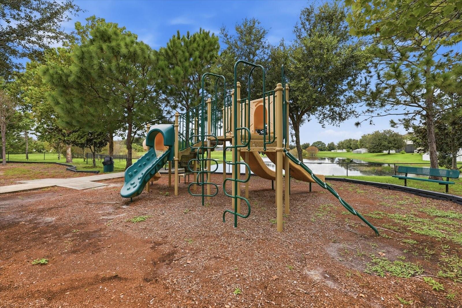 10519 WHISPERING HAMMOCK DR — photo 44