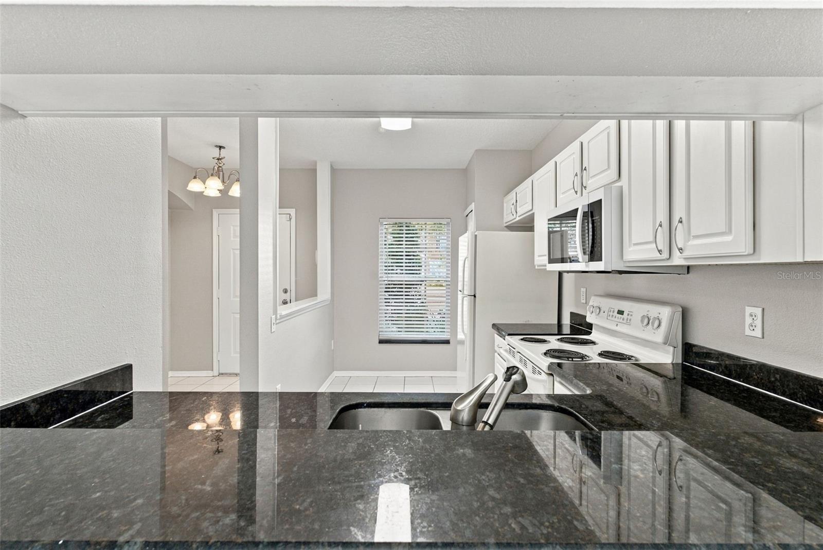 1150 KENNEWICK CT #1150 — photo 9