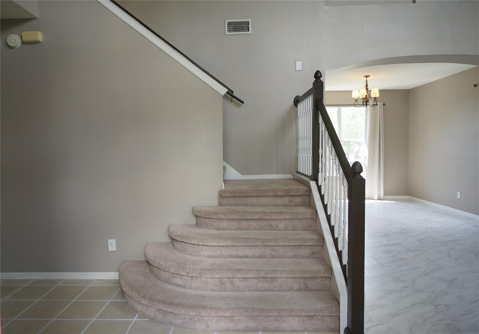 8718 SANDY PLAINS DR — photo 18