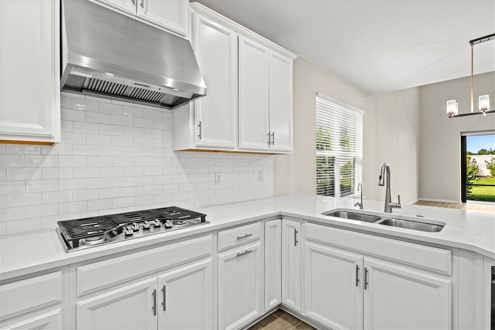 15233 SHADY PALMS LN — photo 15