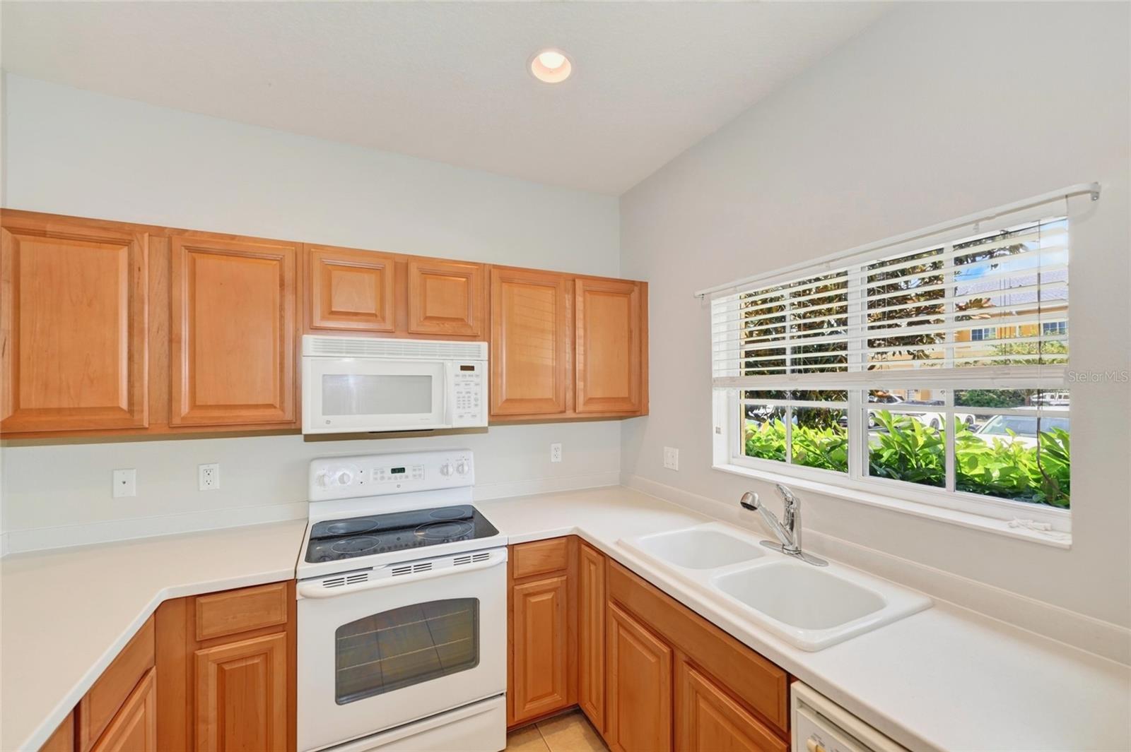 13068 TIGERS EYE DR — photo 8