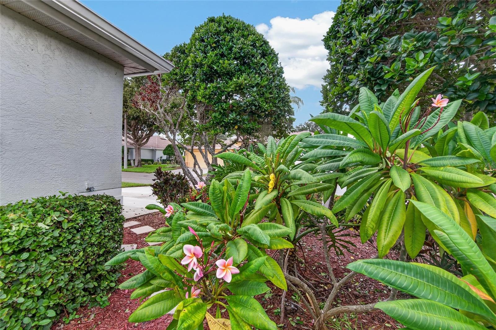 1213 CORINTH GREENS DR #52 — photo 35