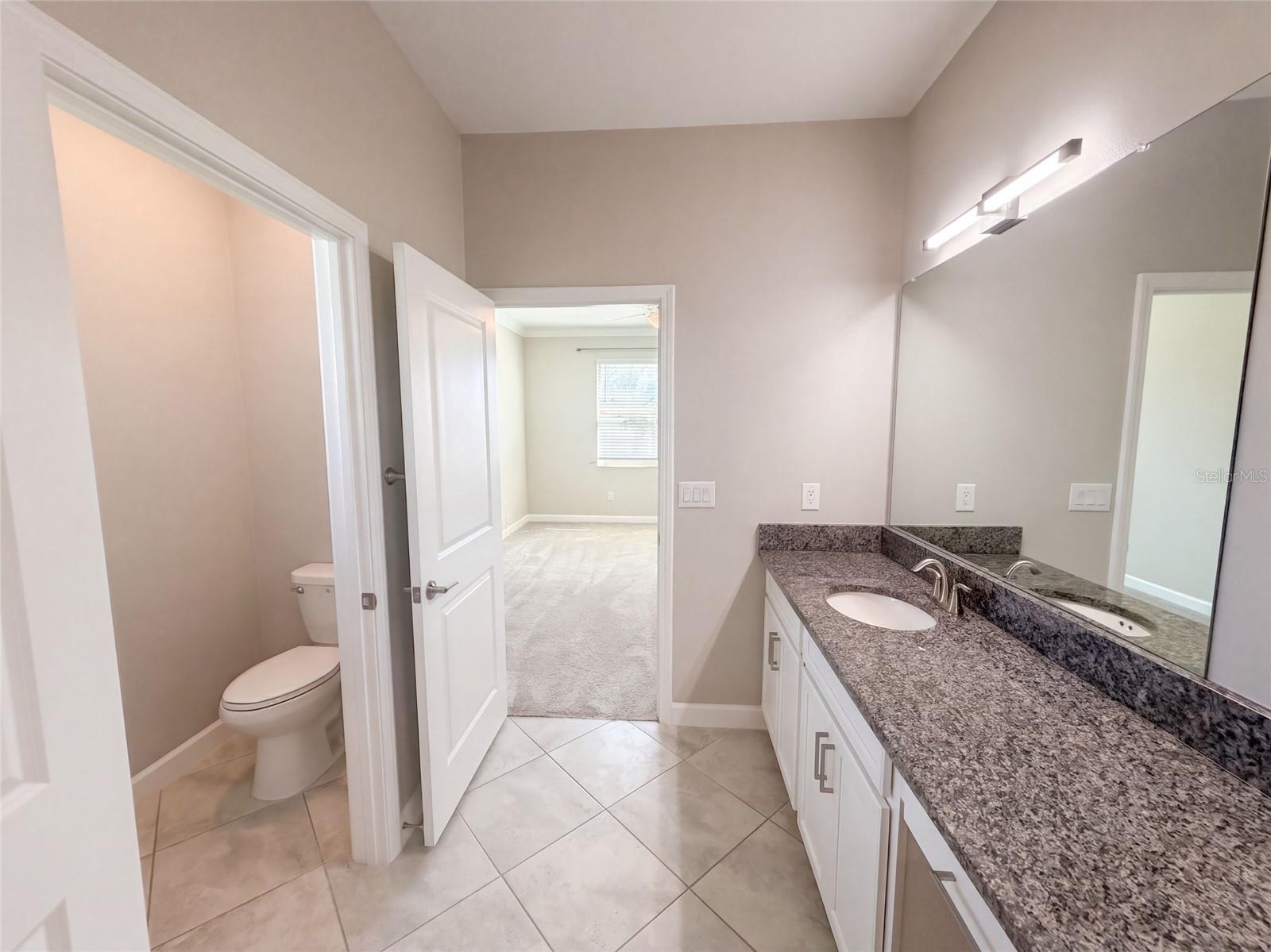 31351 CANNON RUSH DR — photo 21