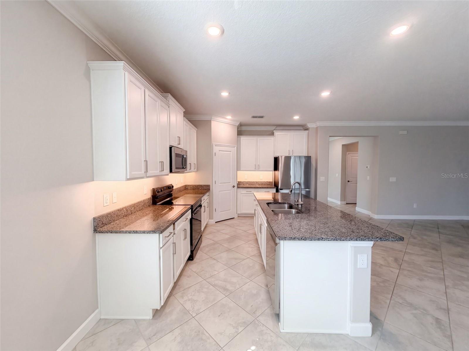 31351 CANNON RUSH DR — photo 6