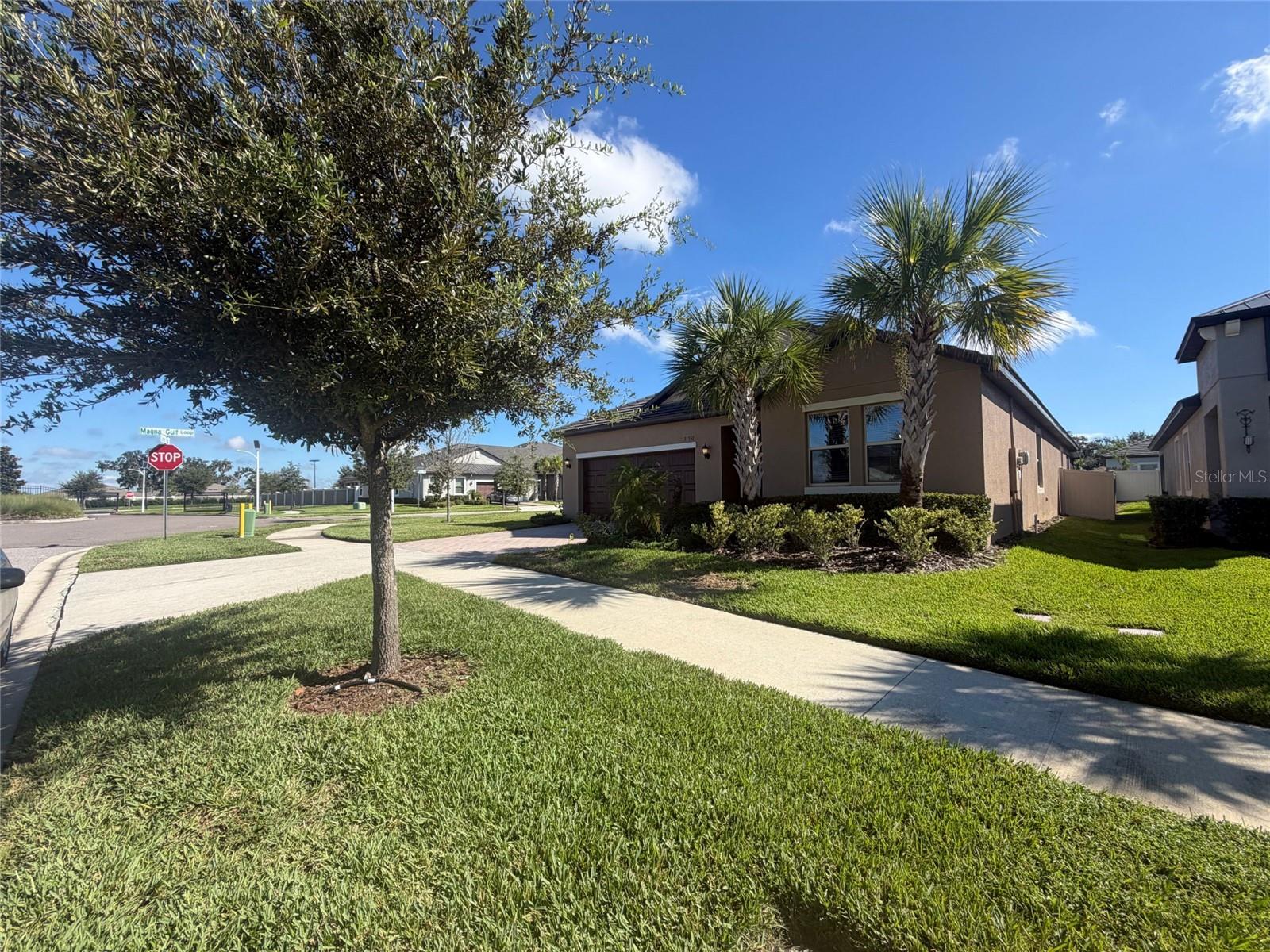 31351 CANNON RUSH DR — photo 28