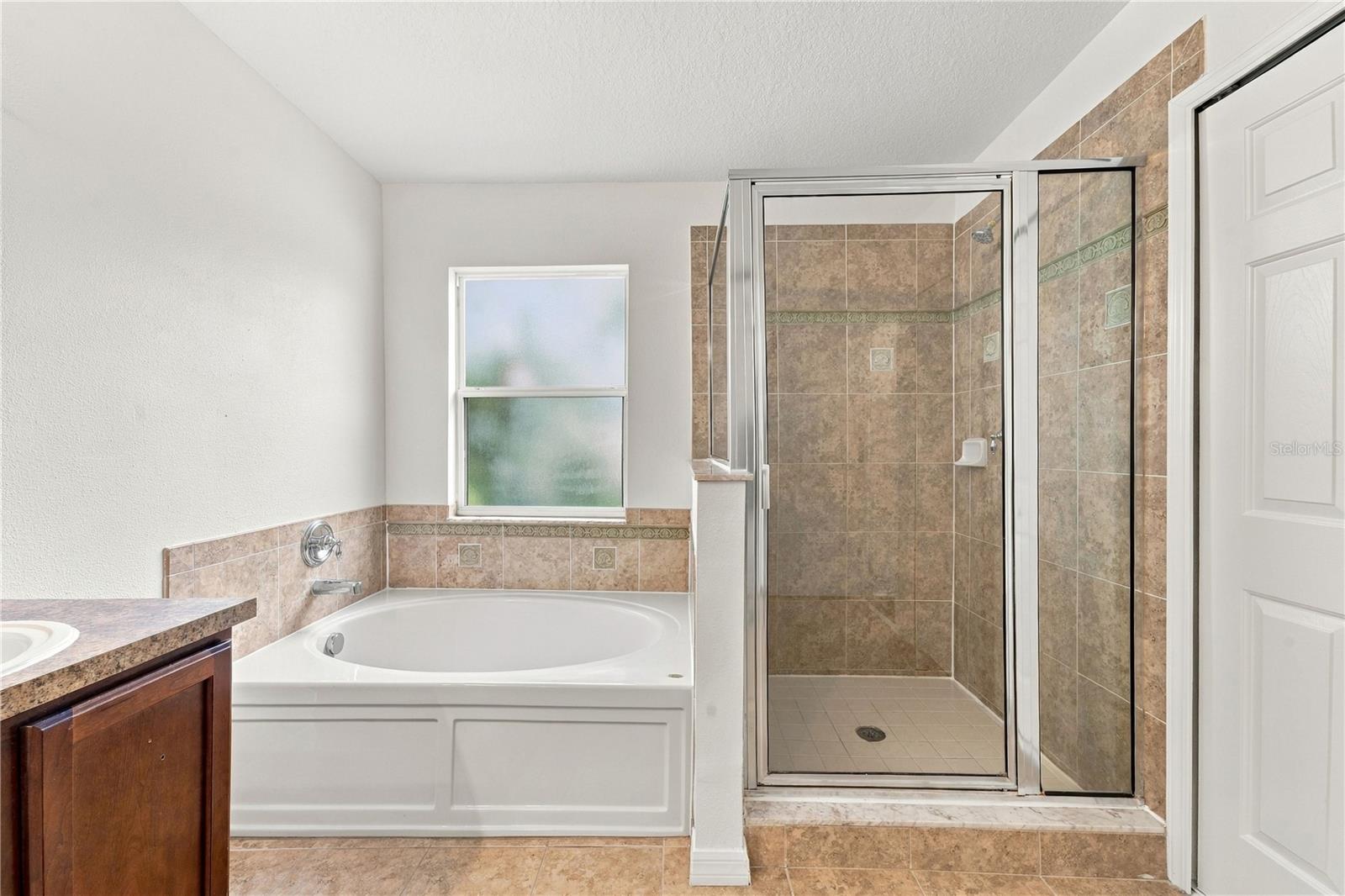 3247 CHESSINGTON DR — photo 19