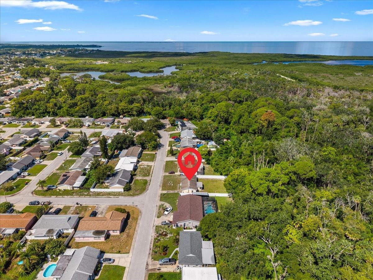 4041 WOODSVILLE DR — photo 48