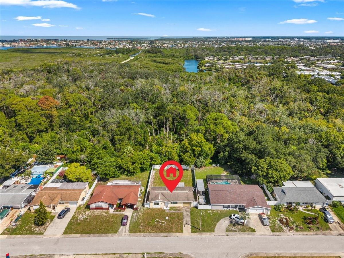 4041 WOODSVILLE DR — photo 50