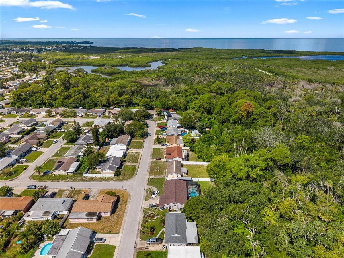4041 WOODSVILLE DR — photo 40