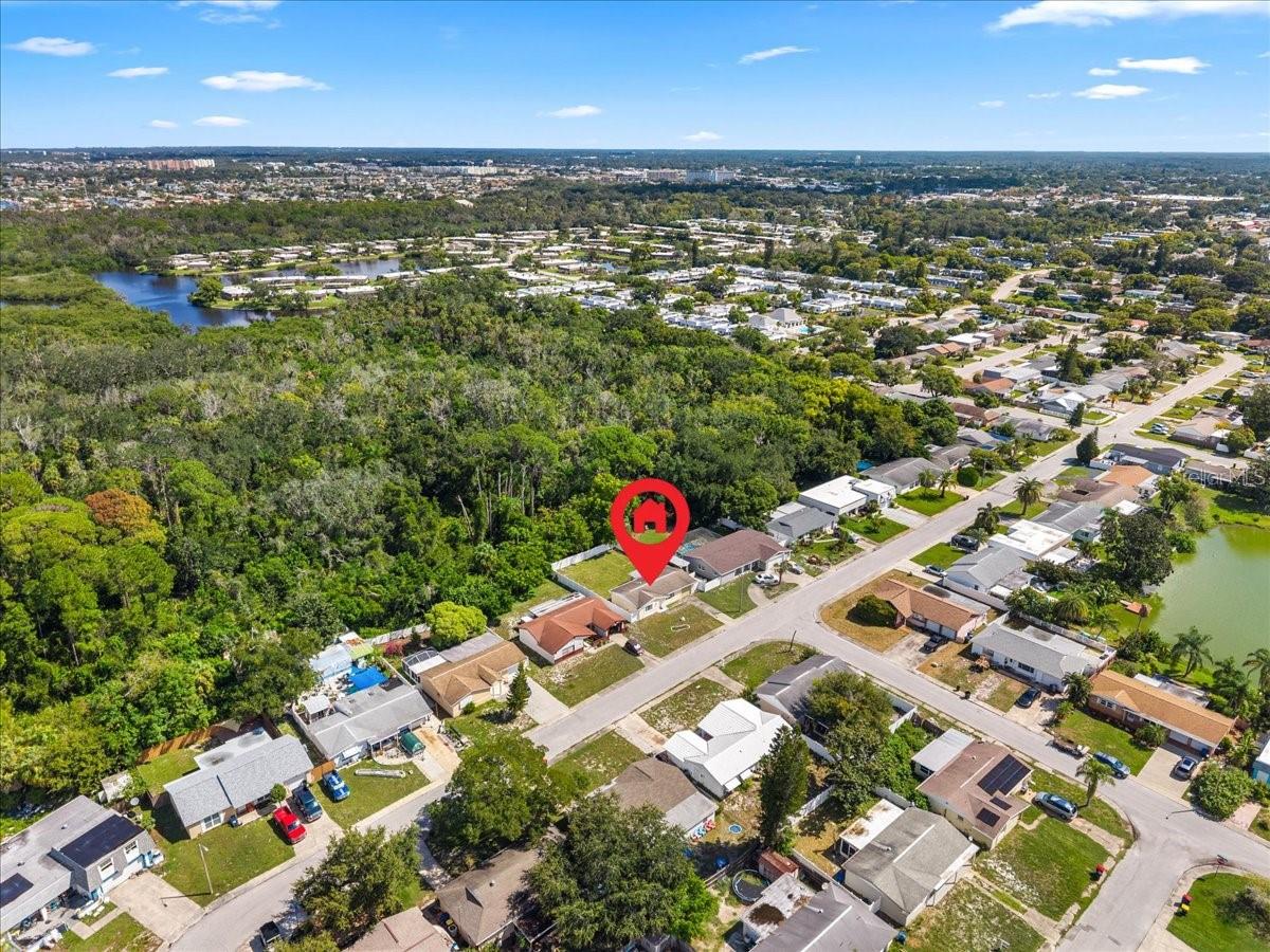 4041 WOODSVILLE DR — photo 43