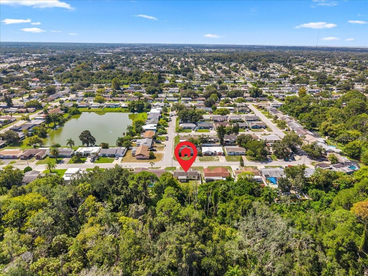 4041 WOODSVILLE DR — photo 46
