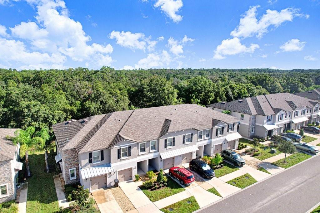 9536 PEMBROOKE PINES DR — photo 50