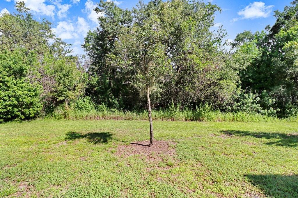 9536 PEMBROOKE PINES DR — photo 45