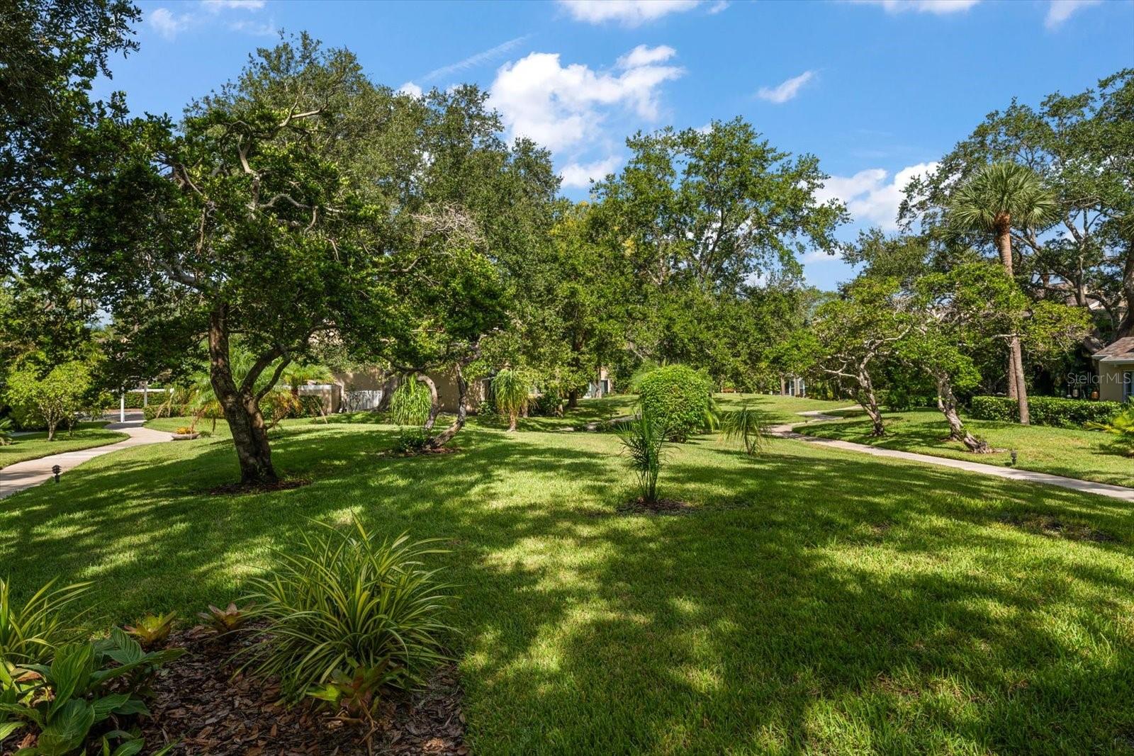 10811 INDIAN HILLS CT #42 — photo 33