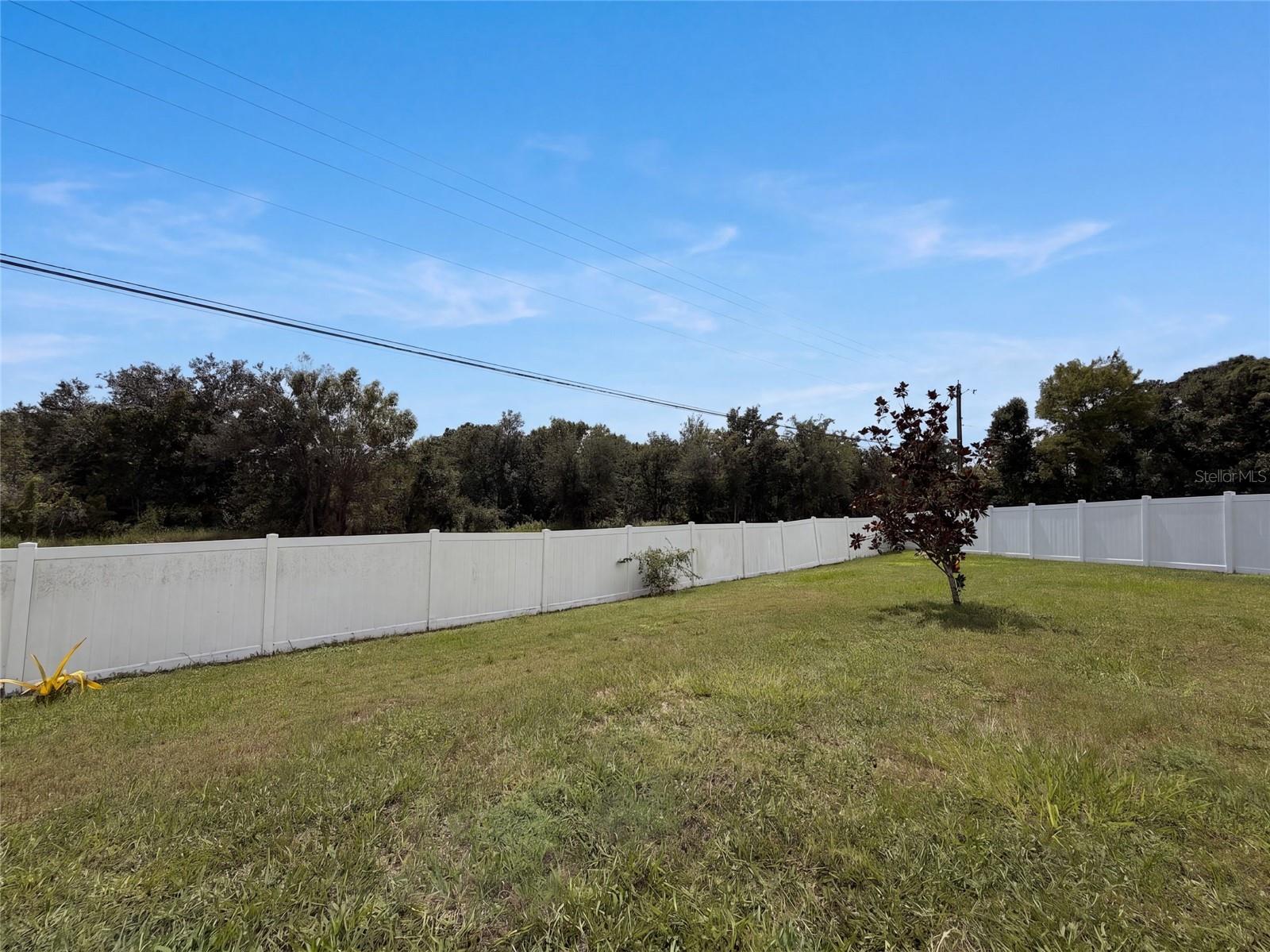 10448 CARLOWAY HILLS DR — photo 40
