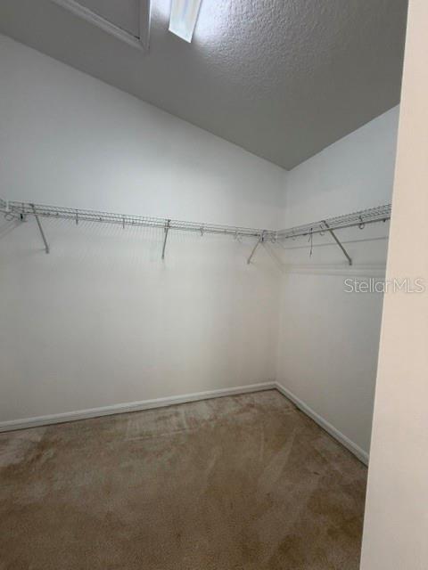 2931 WALNUT GROVE CT — photo 29