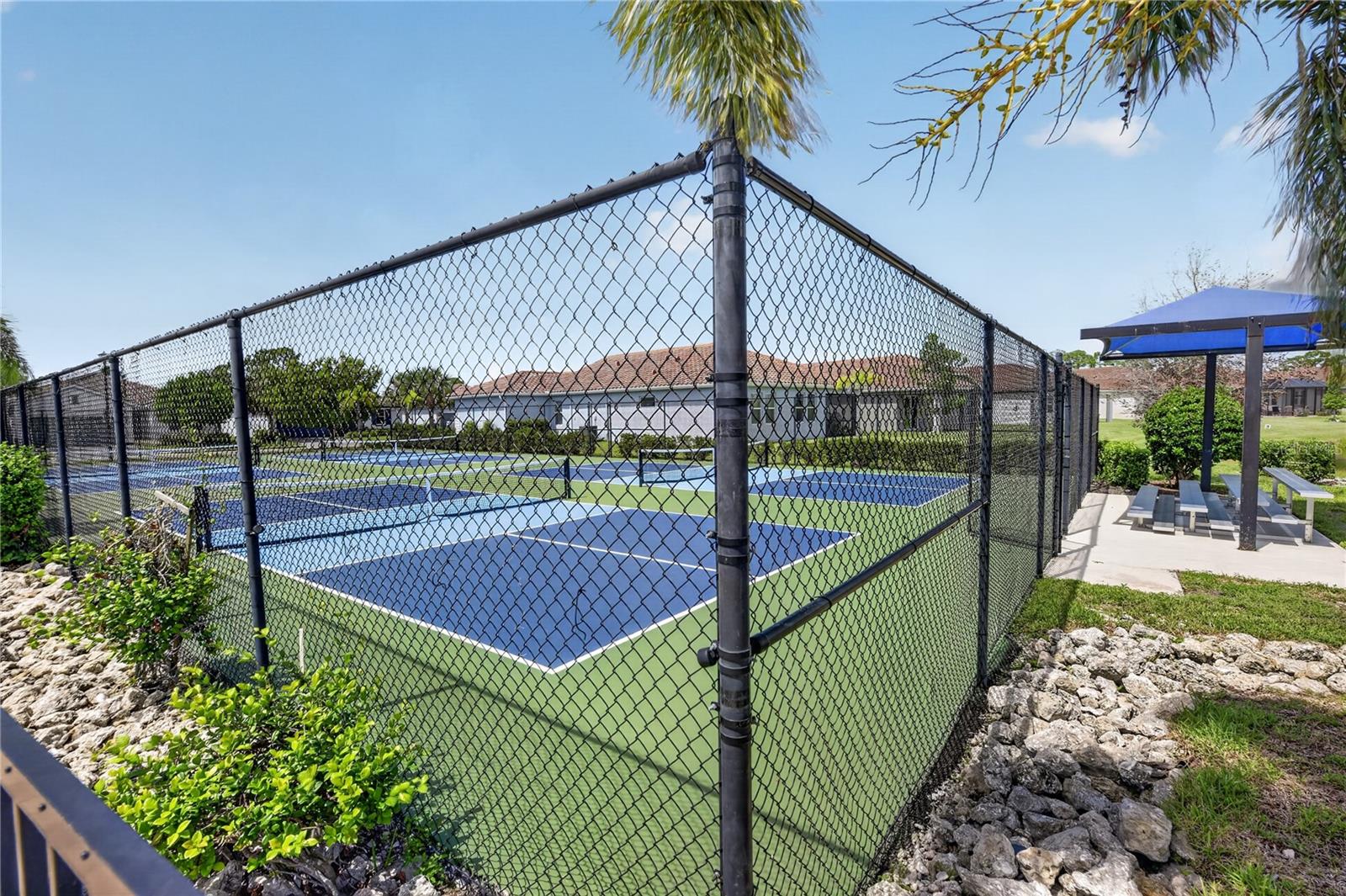 257 DAYLILY BLVD — photo 85