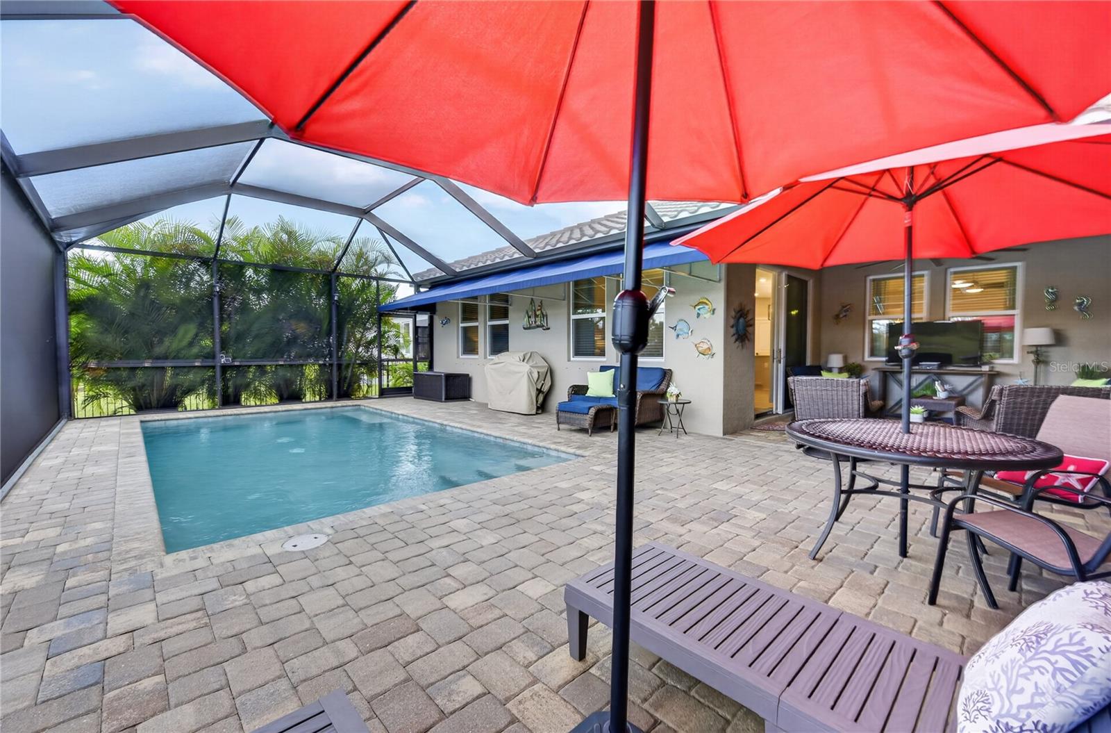 257 DAYLILY BLVD — photo 50