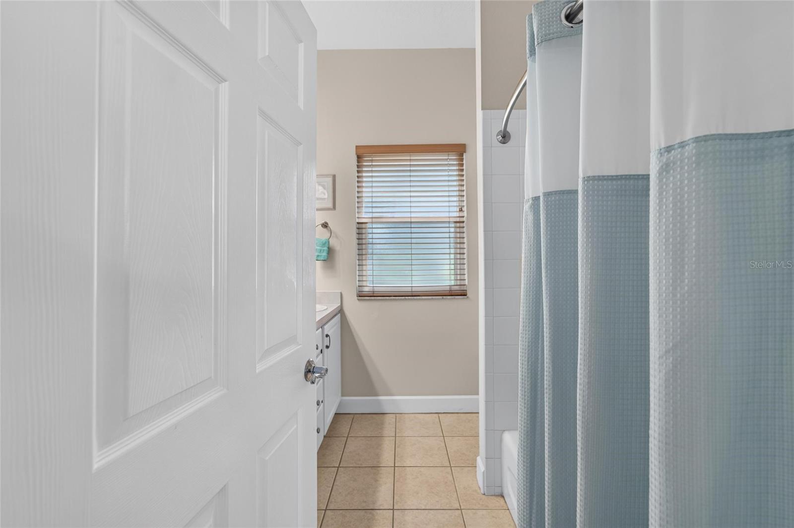 534 PLANTERS MANOR WAY — photo 50