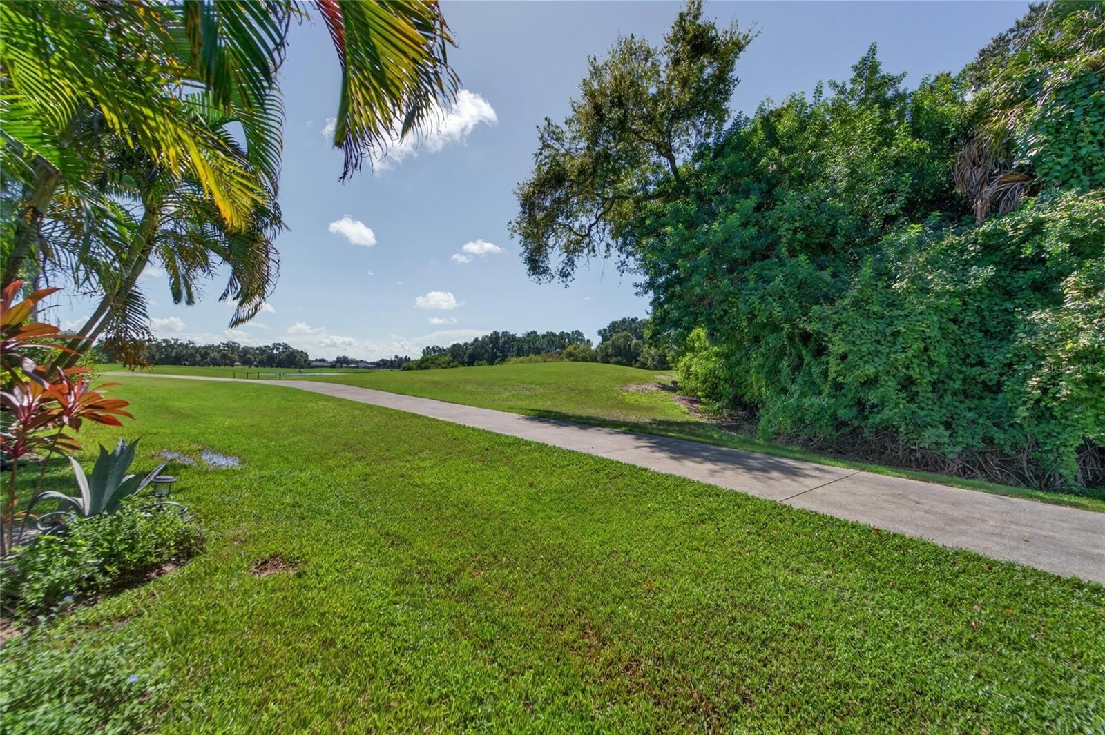 534 PLANTERS MANOR WAY — photo 81