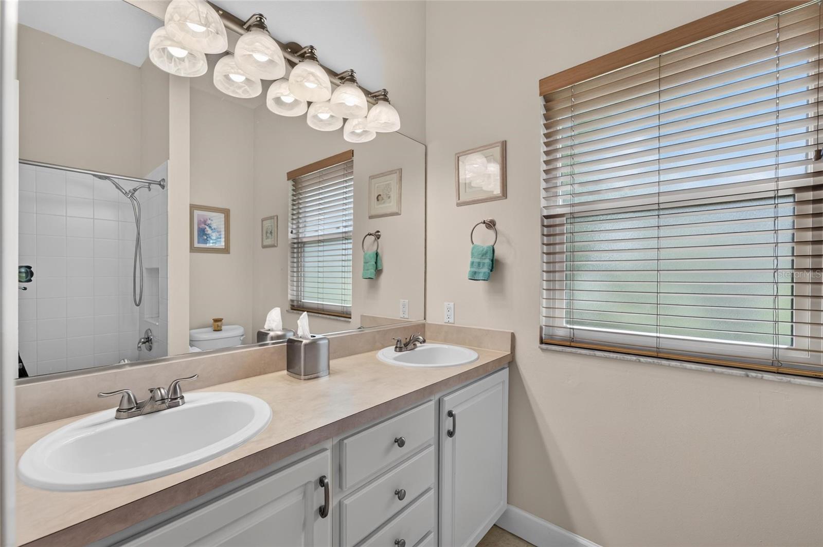 534 PLANTERS MANOR WAY — photo 51