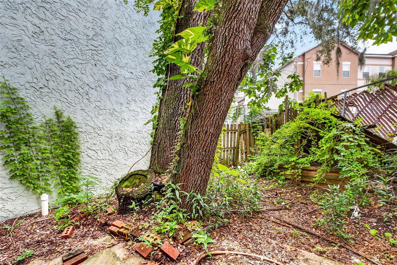 5627 ASHLEY OAKS DR #2 — photo 32